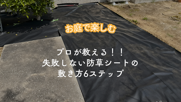 【プロが教える】防草シートの正しい敷き方・DIYで雑草対策を成功させる6つのステップ