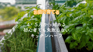 【春のベランダDIY】4・5月から始める！初心者でも失敗しない「キッチンハーブ」5選｜育て方から活用法までプロが解説